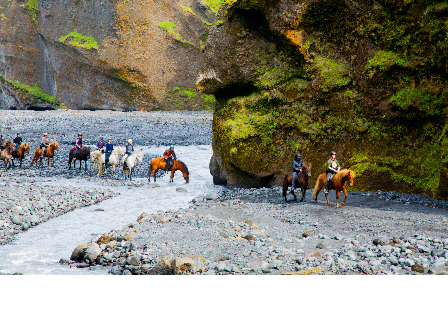 Riding with the Herd in Iceland 